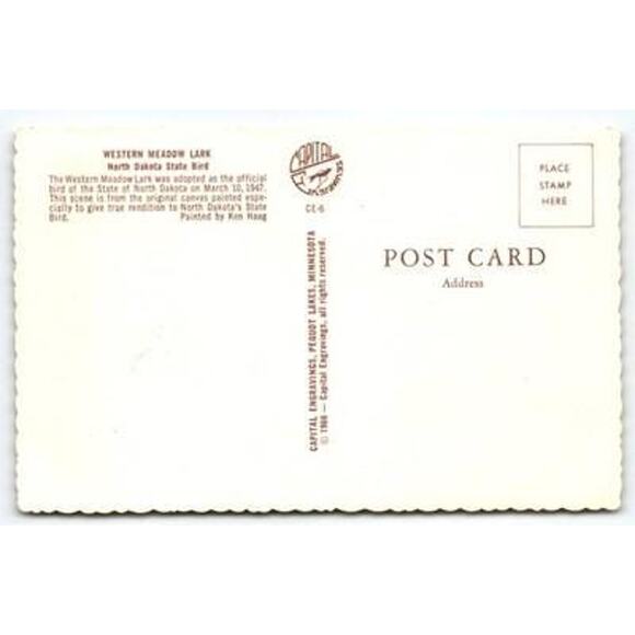 Vintage 1966 North Dakota State Bird Postcard by Ken Haag - Picture 2 of 2